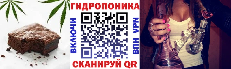 Купить закладки  Бодайбо  Cannafood конопля 